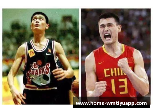 NBA球星弗莱：巅峰时刻与生涯传奇