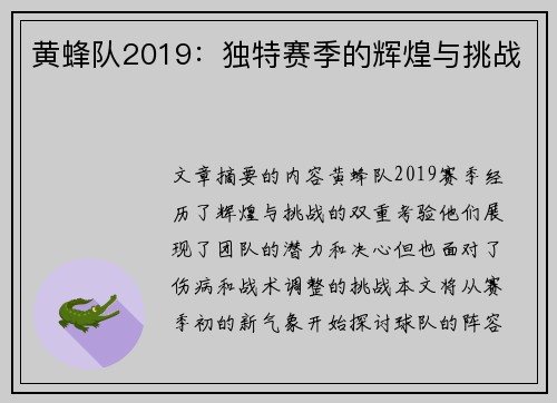 黄蜂队2019：独特赛季的辉煌与挑战