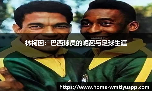 完美体育官网