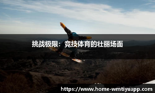 完美体育平台