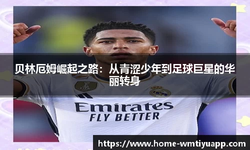 完美体育官网